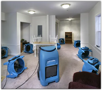Leak Detection & Repair in Elk Ridge, UT