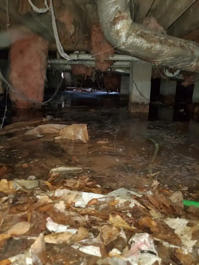 Crawl space flood assessment for Leak Detection & Repair in Elk Ridge