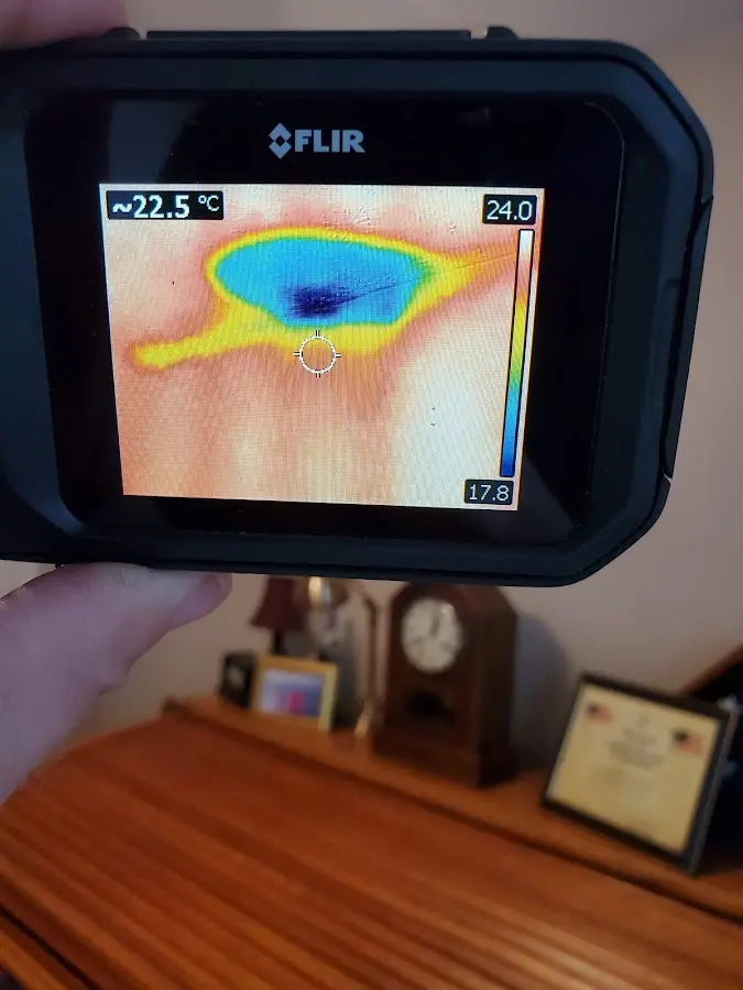 Thermal imaging inspection for water damage in Elk Ridge